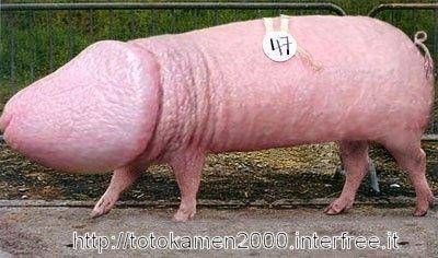 i26