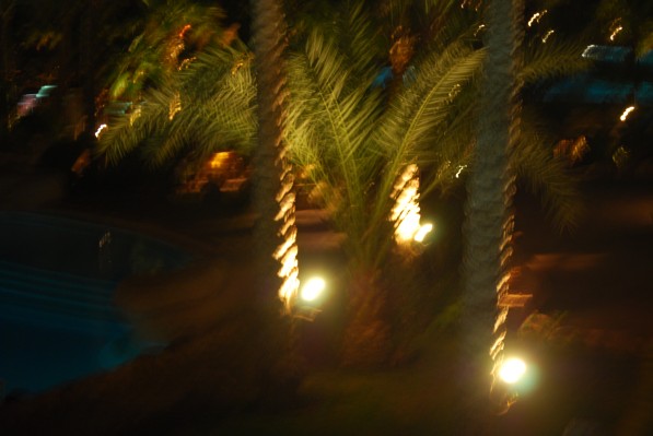 DSC_7591.JPG