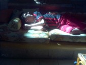 IMG_20111107_115330.jpg
