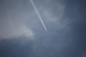 DSC_7665.JPG