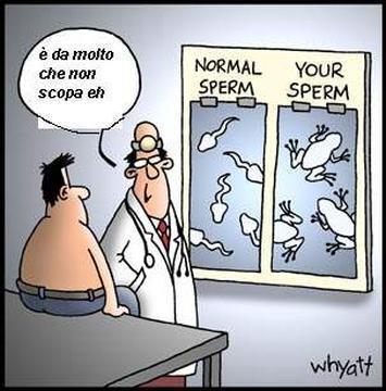 sperma.jpg