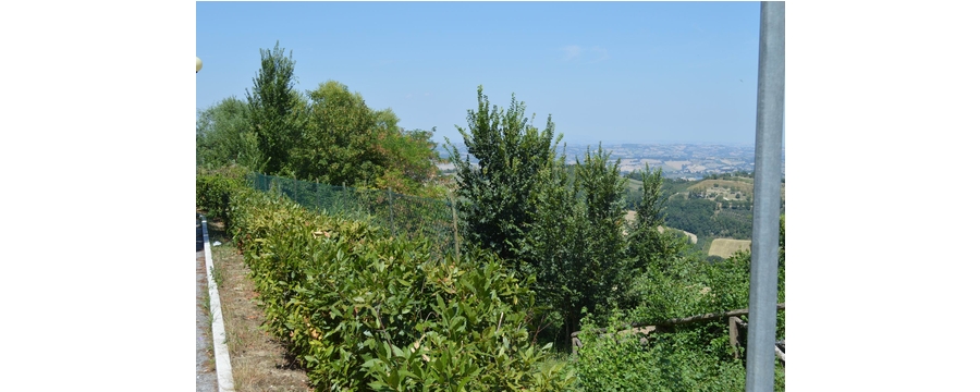 Resize of 8118