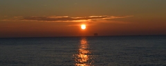 Resize of DSC_0027