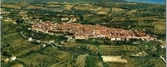 17164