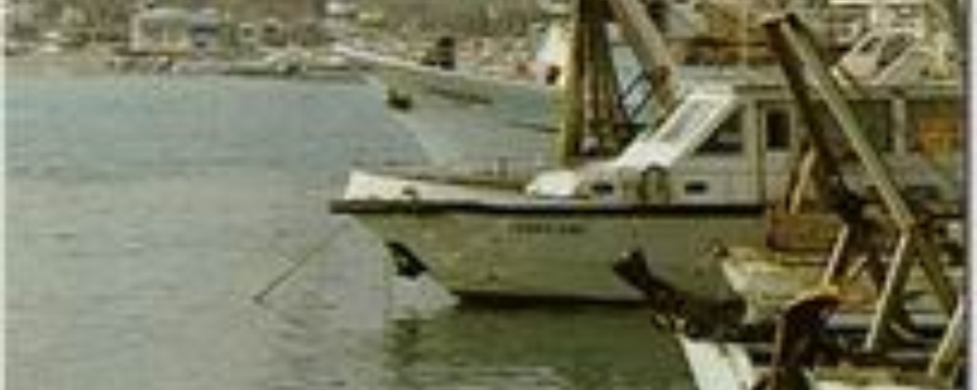 17652