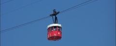 16373