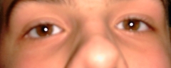 10660