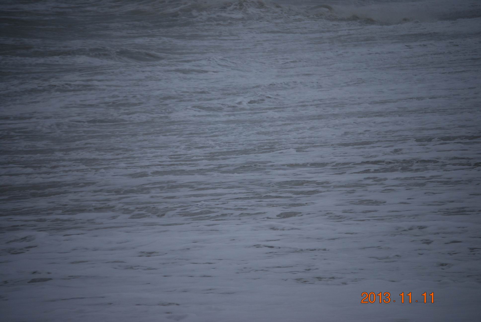 DSC_9535