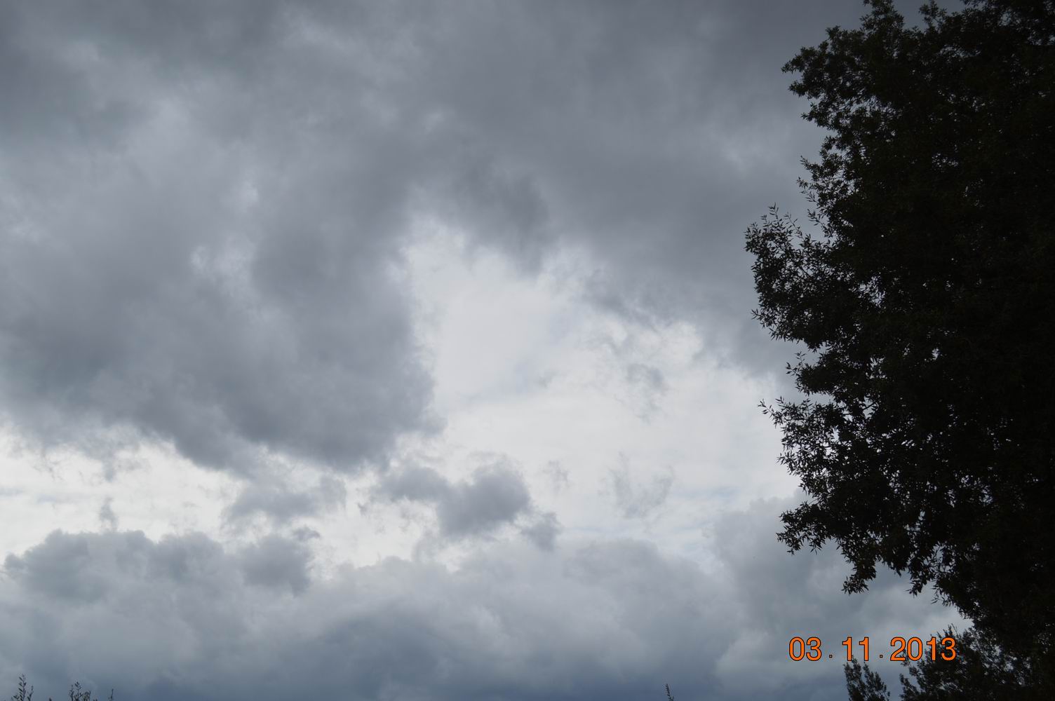 NOVEMBRE2013 113