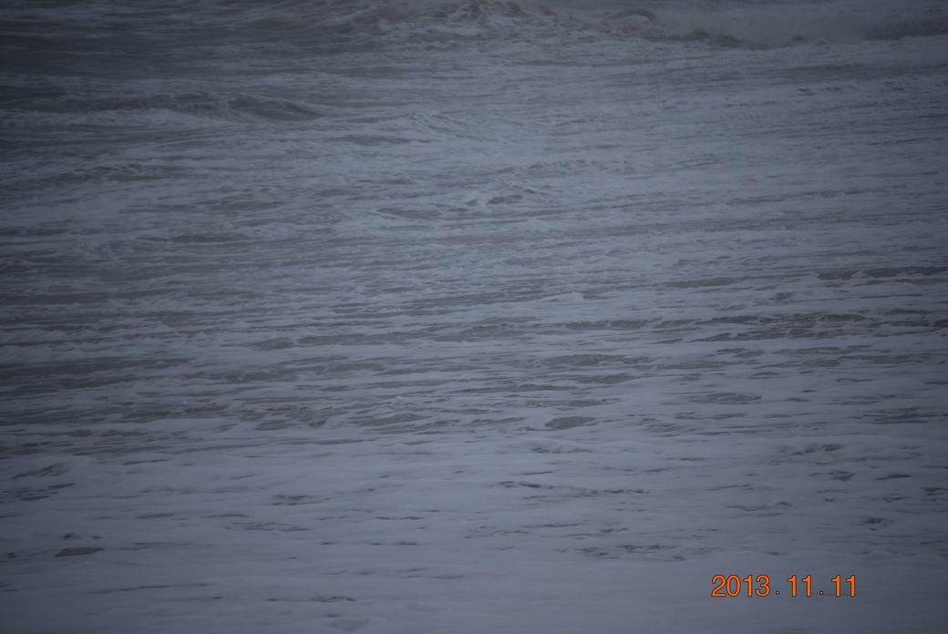 Resize of DSC_9535