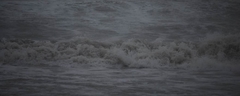Resize of DSC_9545